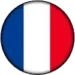 made-in-france-icon